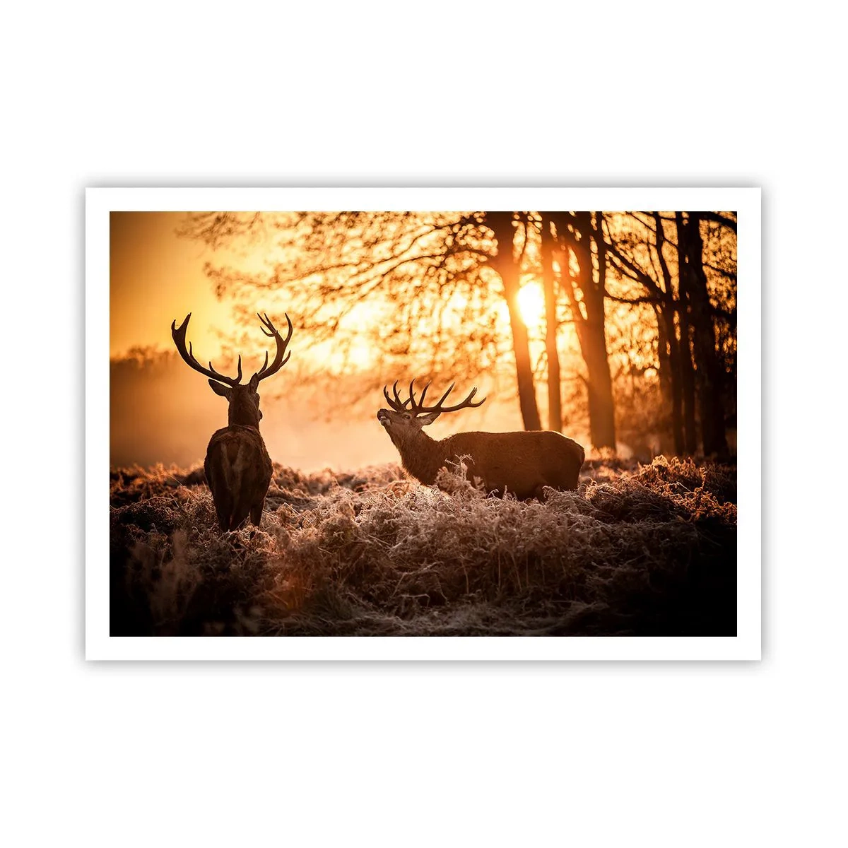 Plagát - Sen poľovníka - 100x70 cm