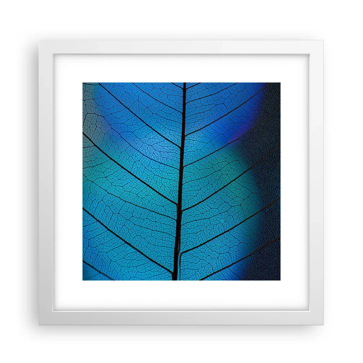 Plagát v bielom ráme - Až do detailov - 30x30 cm