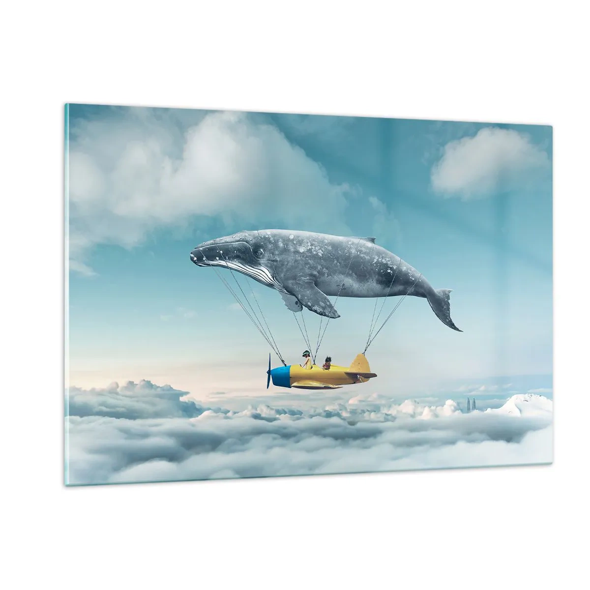 Obraz na skle - Prečo by nie? - 120x80 cm