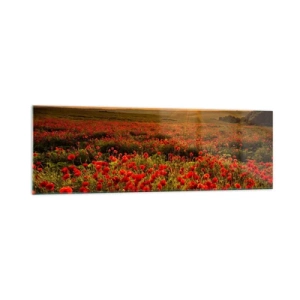 Obraz na skle - Medzi vlnami šumiacich lúk, medzi záplavou kvetov - 160x50 cm