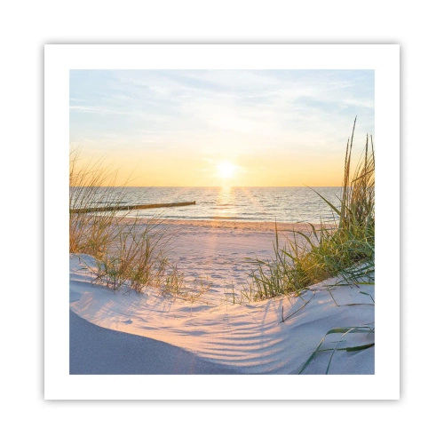 Plagát - Šumenie mora, spev vtákov, divoká pláž uprostred trávy… - 50x50 cm
