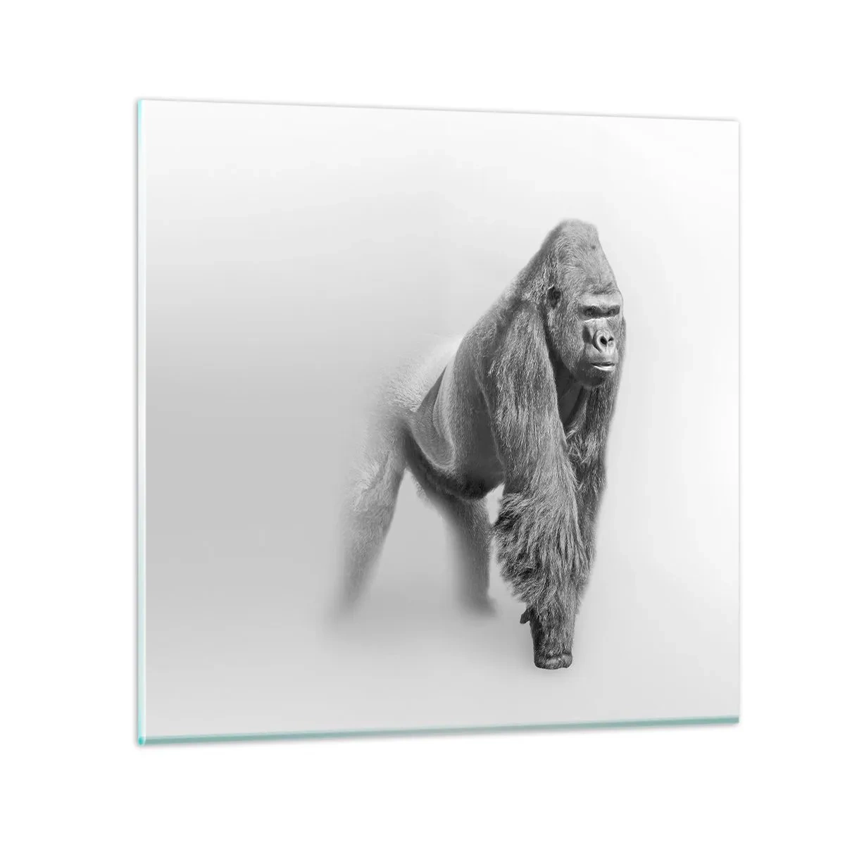 Obraz na skle - Istý si svojou silou - 70x70 cm