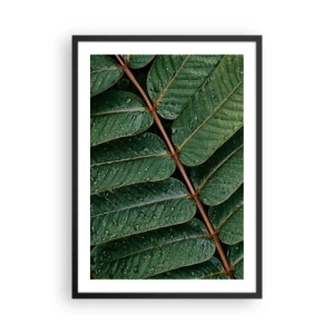 Plagát v čiernom ráme - Listy s kvapkami vody vytvárajú harmonickú kompozíciu - 50x70cm - V zelenom rytme - Moderná nástenná dekorácia do obývacej izby a spálne ARTTOR