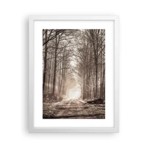Plagát v bielom ráme - Lesná katedrála - 30x40 cm