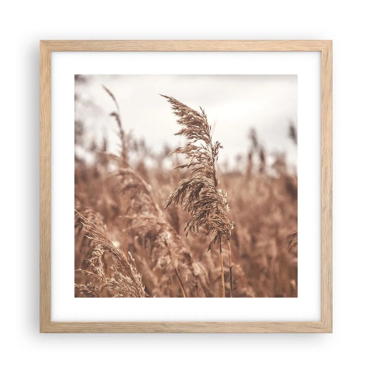 Plagát v ráme zo svetlého duba - Na poliach už je jeseň - 40x40 cm