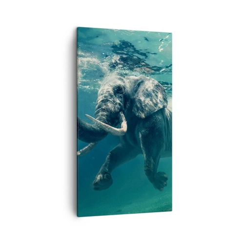Obraz na plátne - Všetci radi plávajú - 45x80 cm