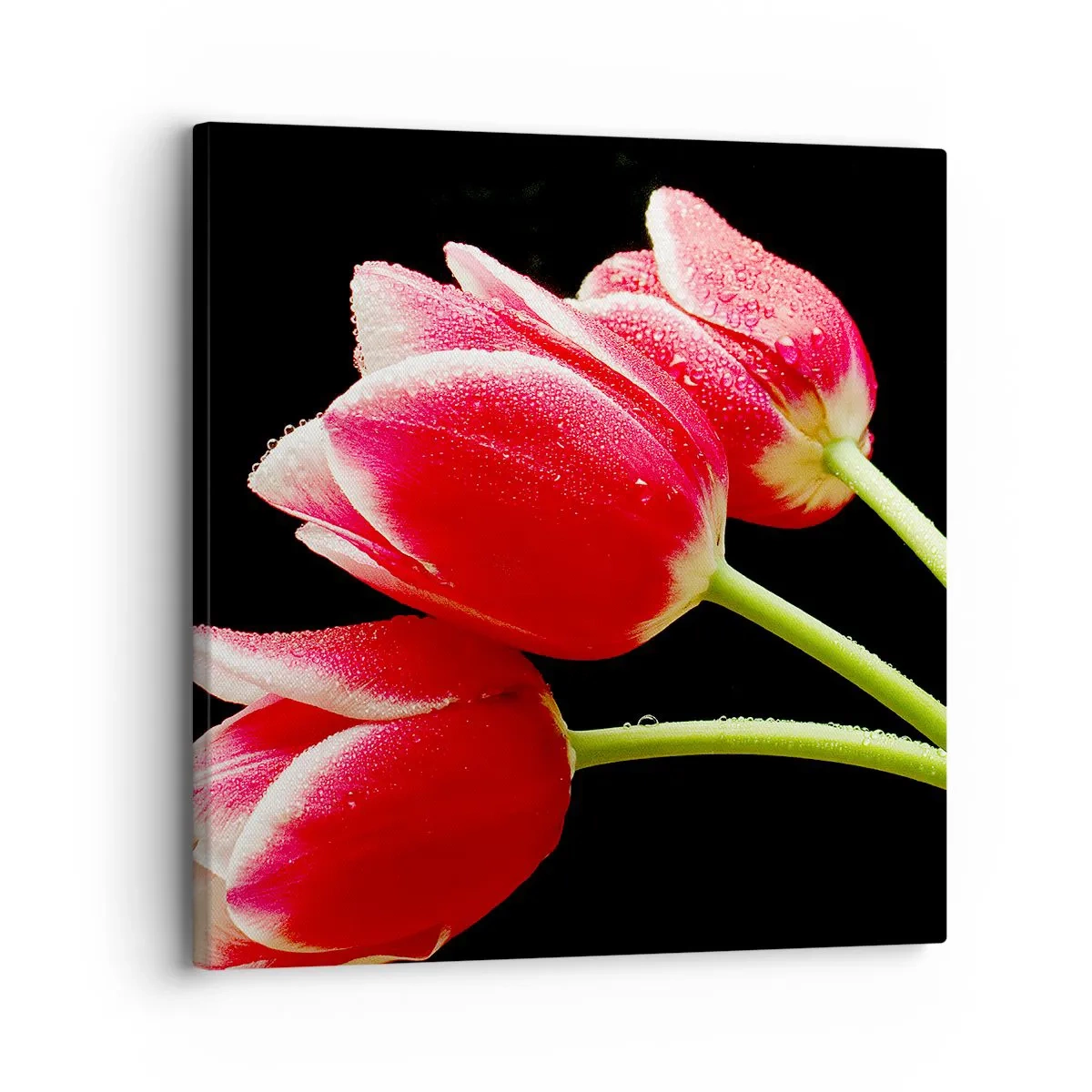 Obraz na plátne - Sľub čistej lásky - 30x30 cm