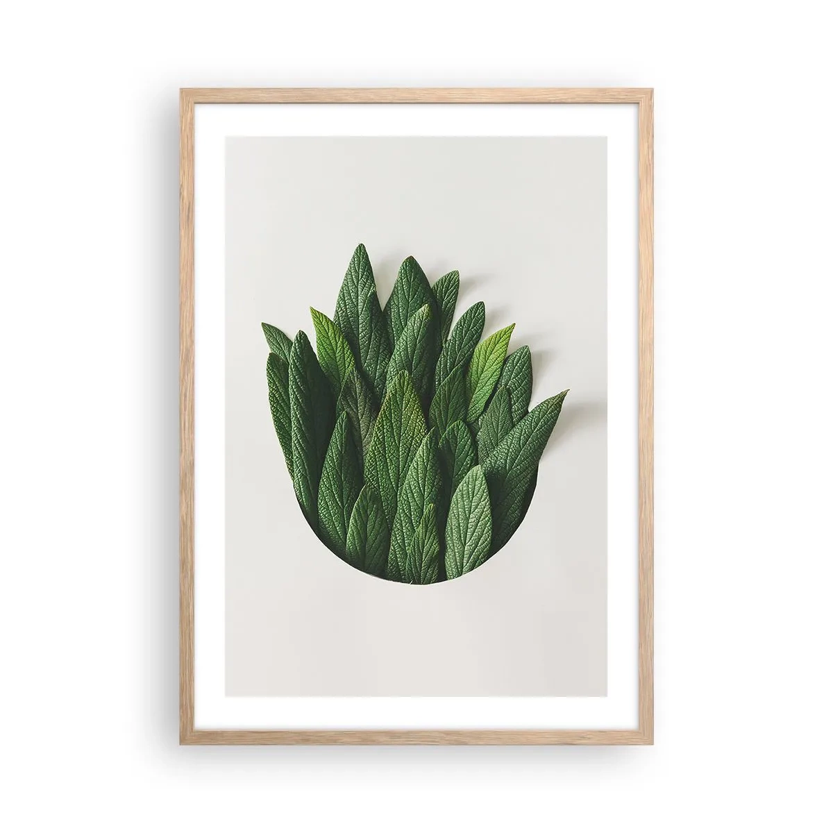 Plagát v ráme zo svetlého duba - Neukojiteľná zvedavosť - 50x70 cm