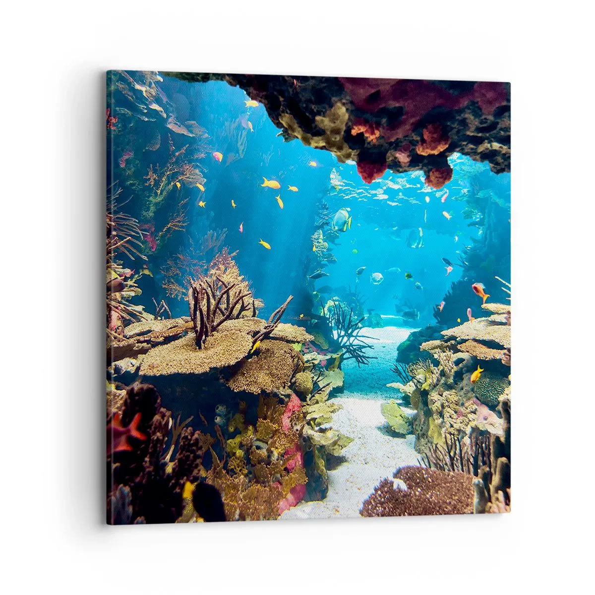 Obraz na plátne - Ani vo sne ťa to nenapadlo - 70x70 cm