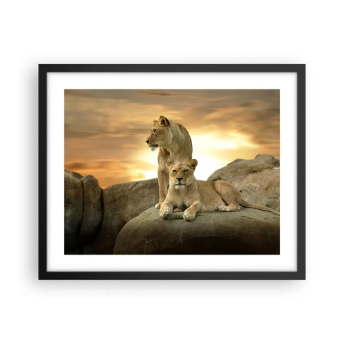 Plagát v čiernom ráme - Kráľovský majestát - 50x40 cm