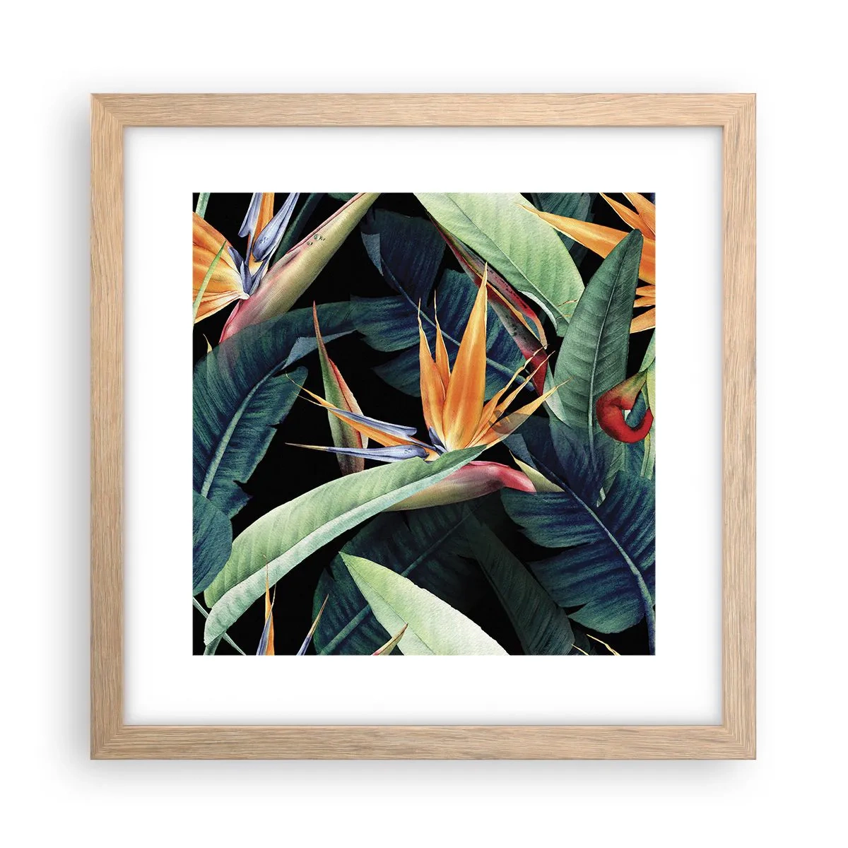 Plagát v ráme zo svetlého duba - Plamenné kvety trópov - 30x30 cm