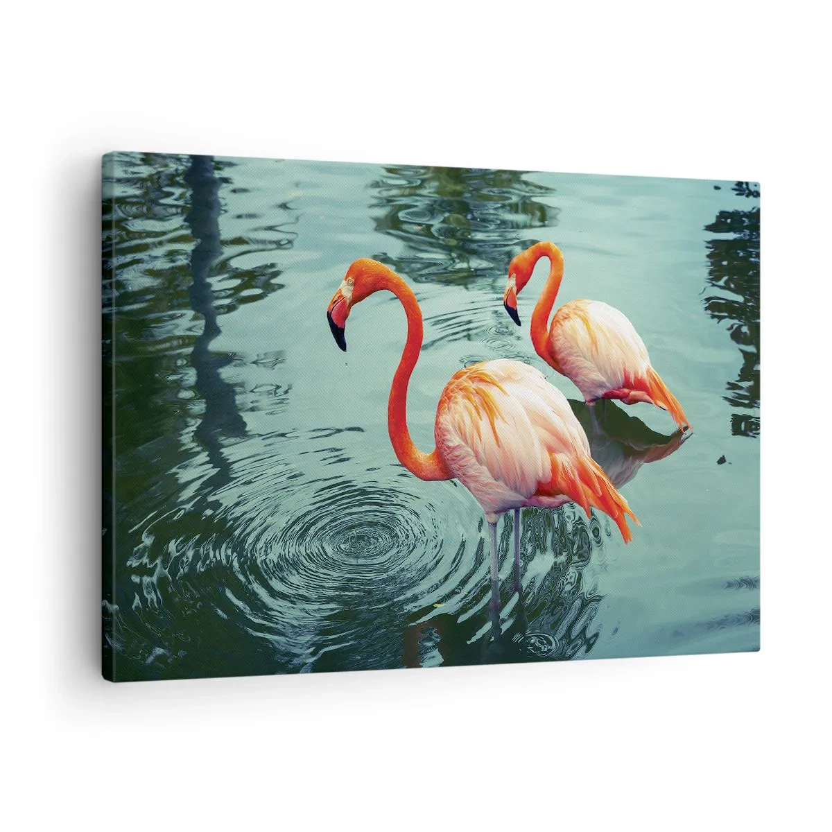 Obraz na plátne - Dva plameniaky v pokojnej vode odrážajú svoje okolie - 70x50cm - Teraz sme v móde - Moderná nástenná dekorácia do obývacej izby a spálne ARTTOR