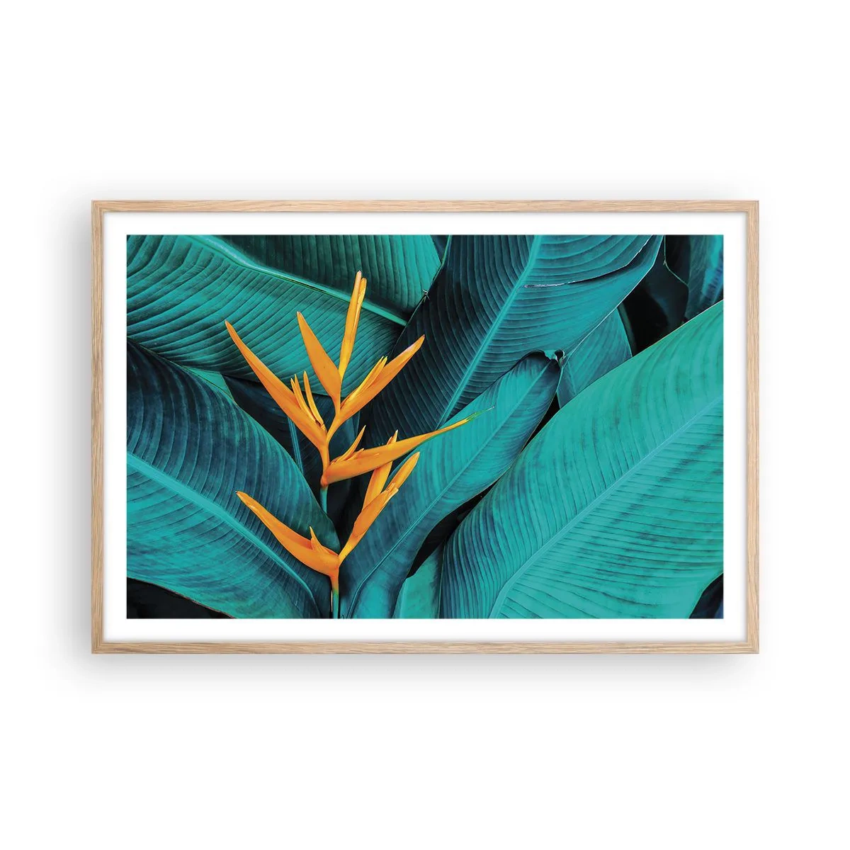 Plagát v ráme zo svetlého duba - Rajský kvet - 91x61 cm