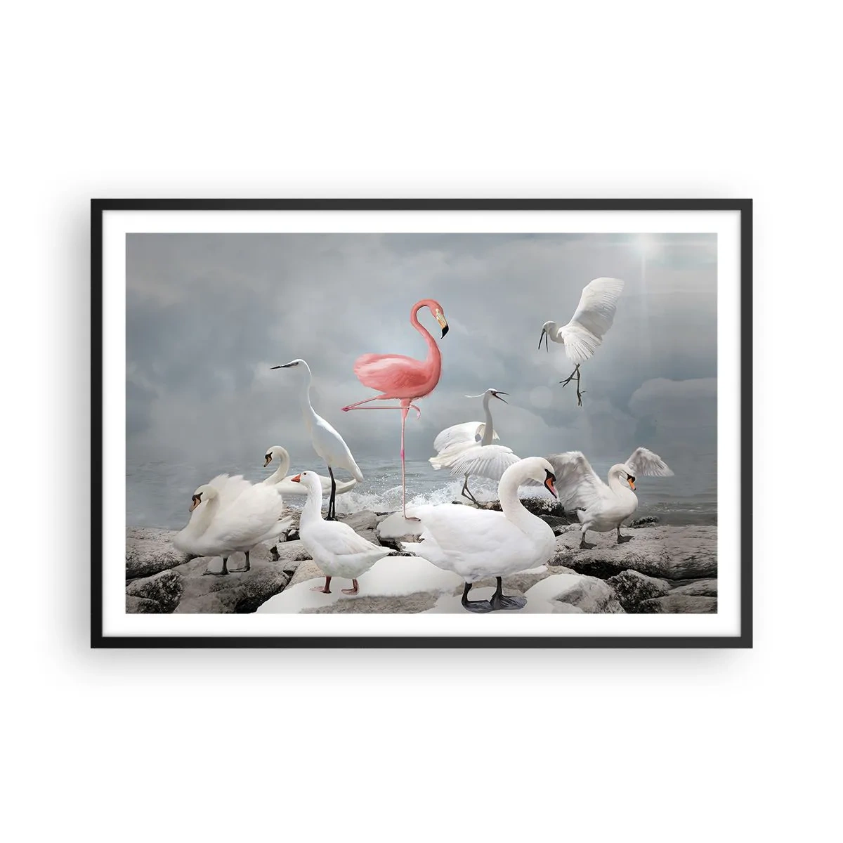 Plagát v čiernom ráme - Kde som sa tu vzal? - 91x61 cm