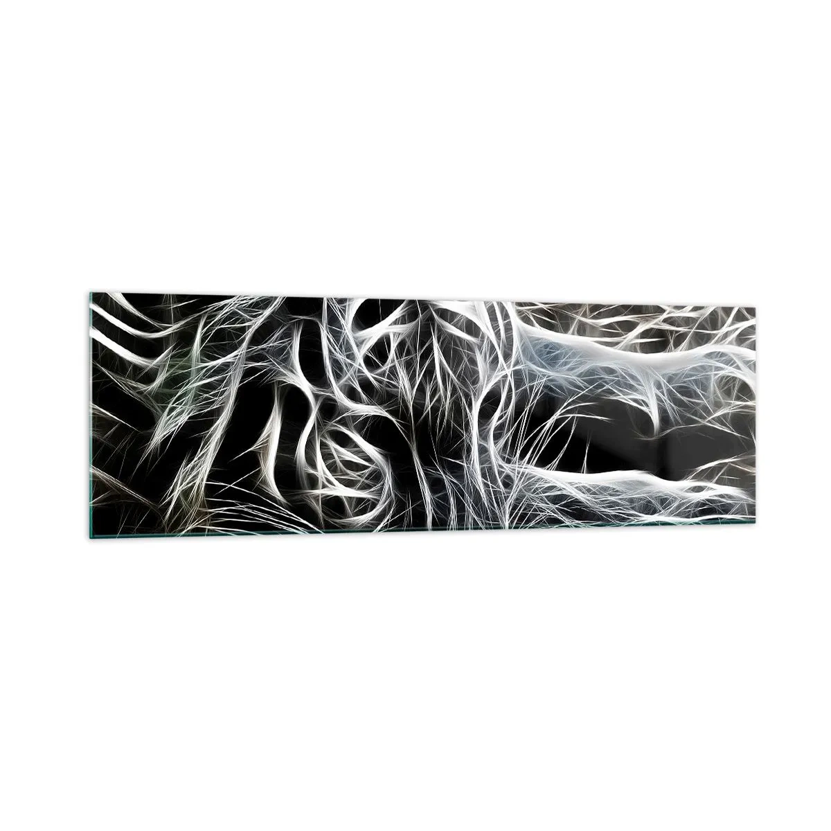 Obraz na skle - Štúdia mačacej ľahkosti - 160x50 cm