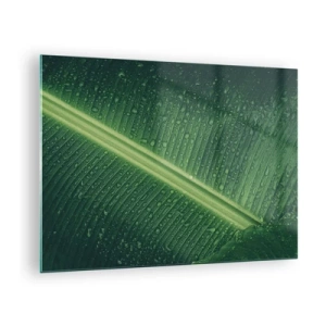 Obraz na skle - Detailný záber na zelený list s kvapkami vody - 70x50cm - Štruktúra zelenej - Moderná nástenná dekorácia do obývacej izby a spálne ARTTOR