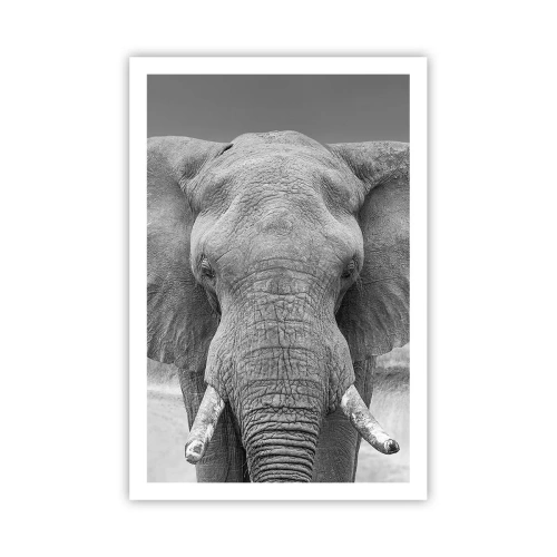 Plagát - Vitajte v mojom svete - 61x91 cm