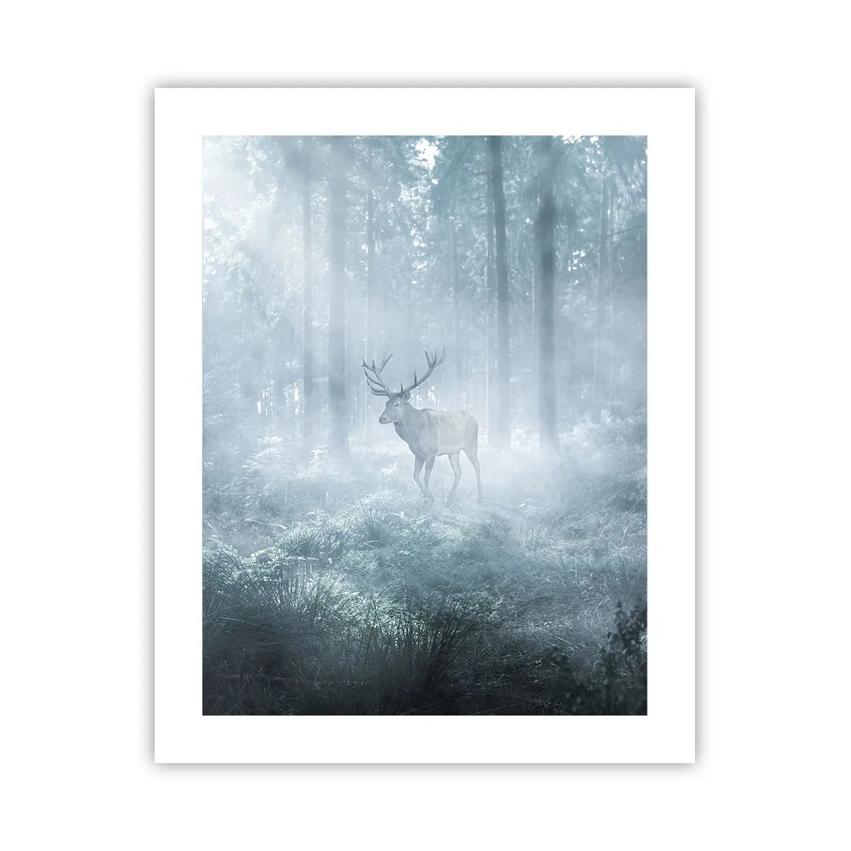 Plagát - Ranná obchôdzka sídliska - 40x50 cm