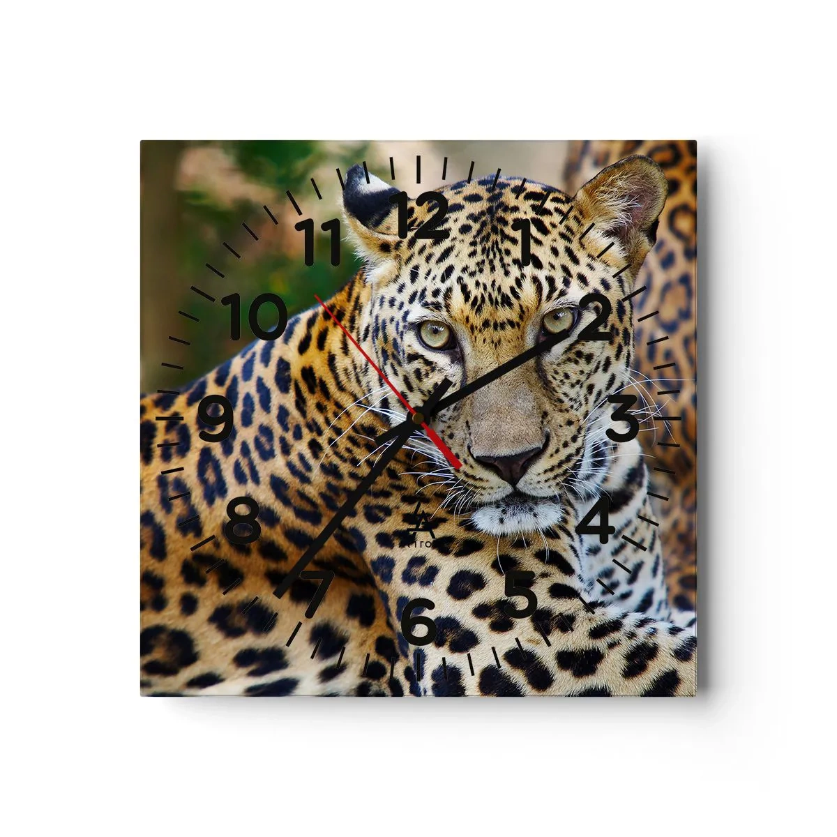 Nástenné hodiny - Divoký a pokojný - 30x30 cm