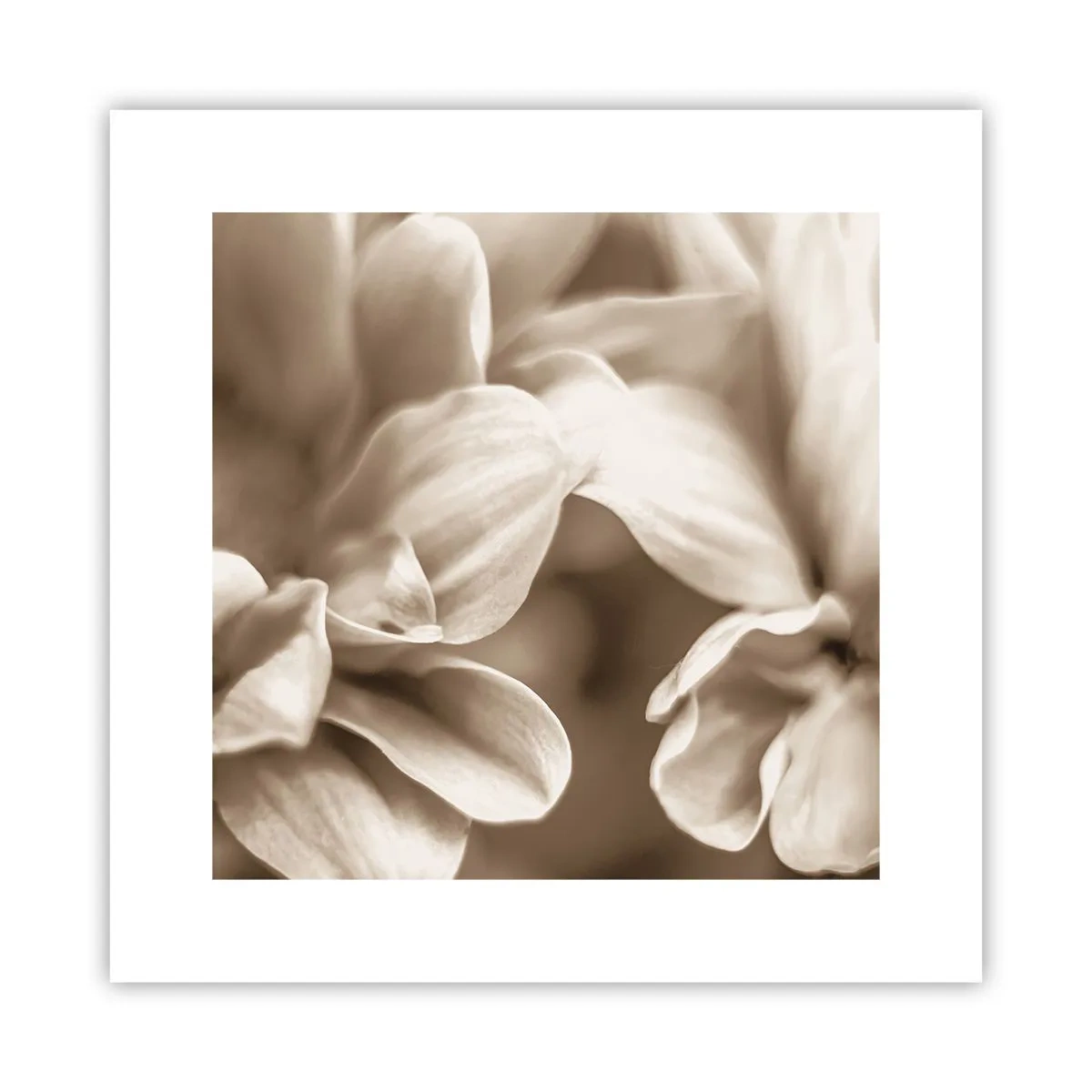 Plagát - Nežné ako úsmev - 30x30 cm