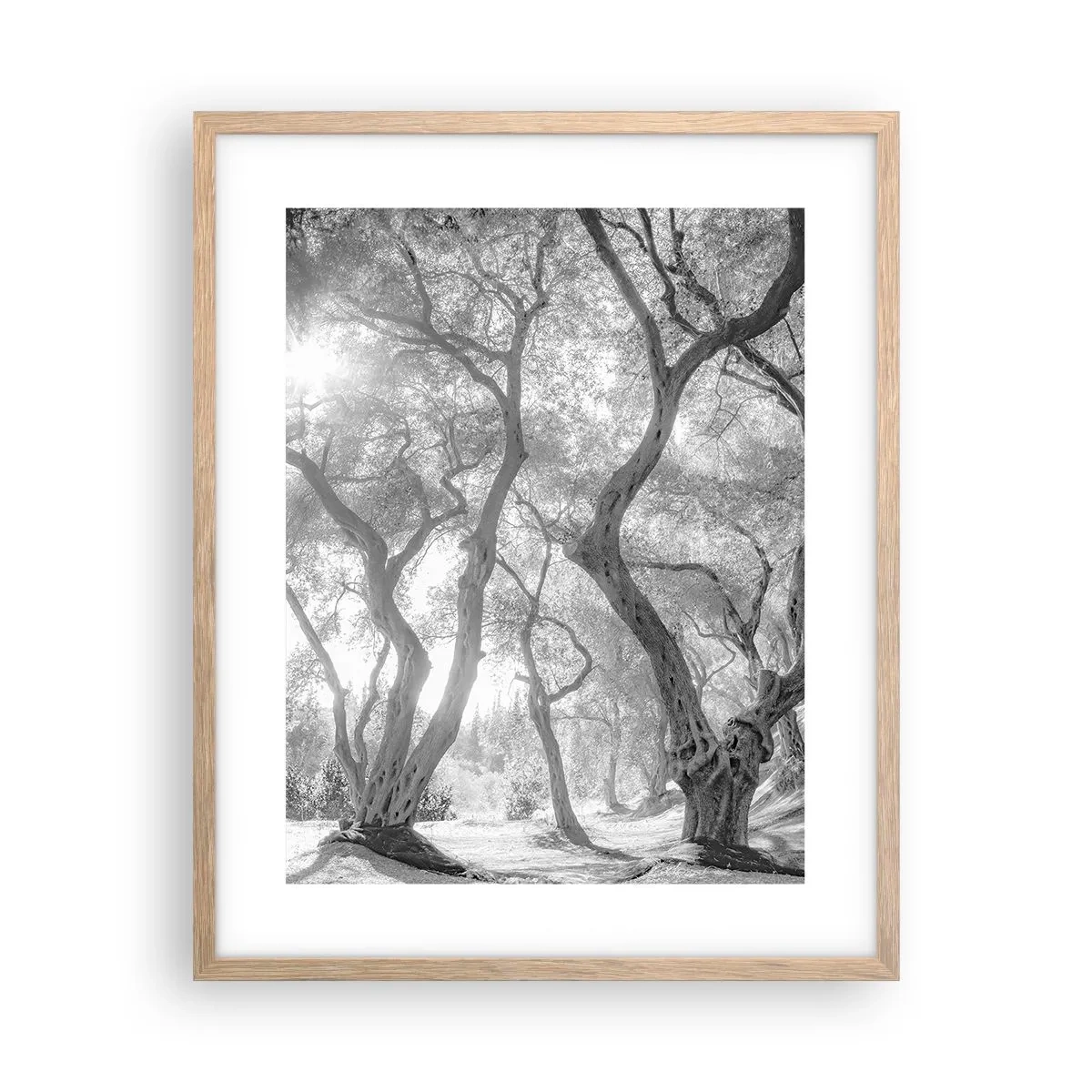 Plagát v ráme zo svetlého duba - V olivovom háji - 40x50 cm