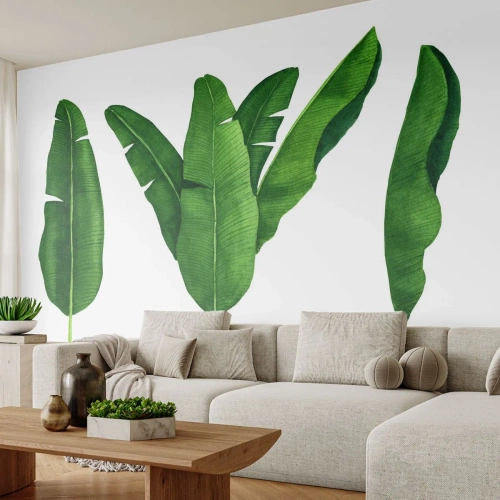 Samolepiaca Fototapeta Deluxe Sticker - Zelená symetria - Banánový list, Tropické, Botanický štýl - 250x175 cm