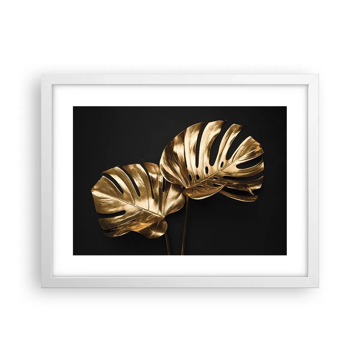 Plagát v bielom ráme - Poklady prírody - 40x30 cm