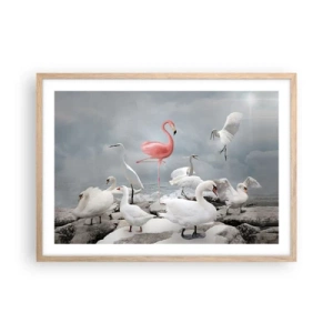 Plagát v ráme zo svetlého duba - Kde som sa tu vzal? - 70x50 cm