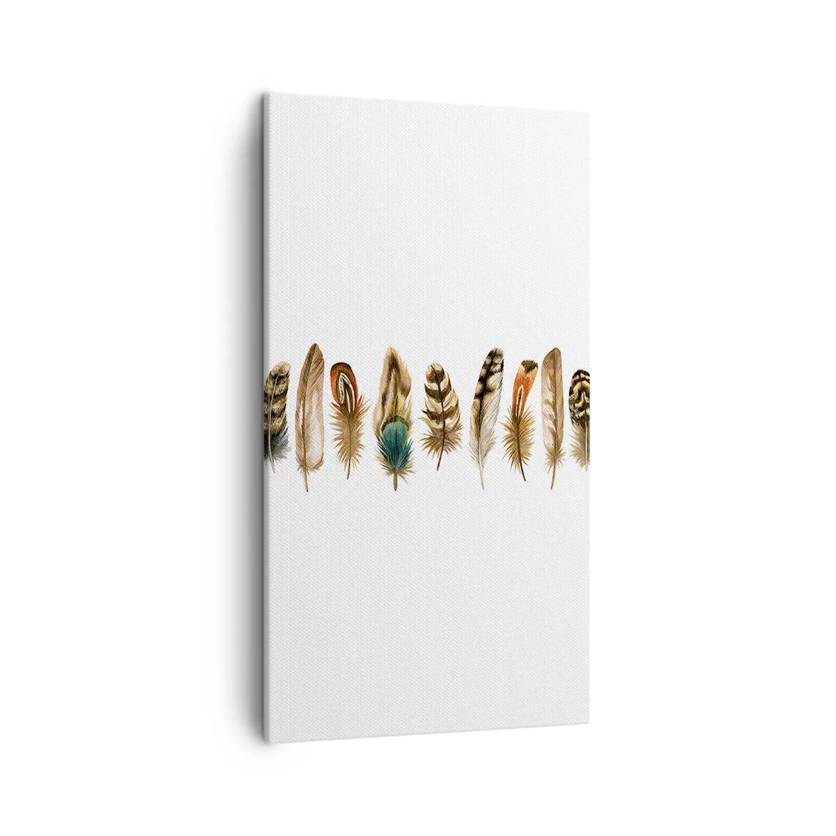 Obraz na plátne - Operená variácia - 45x80 cm