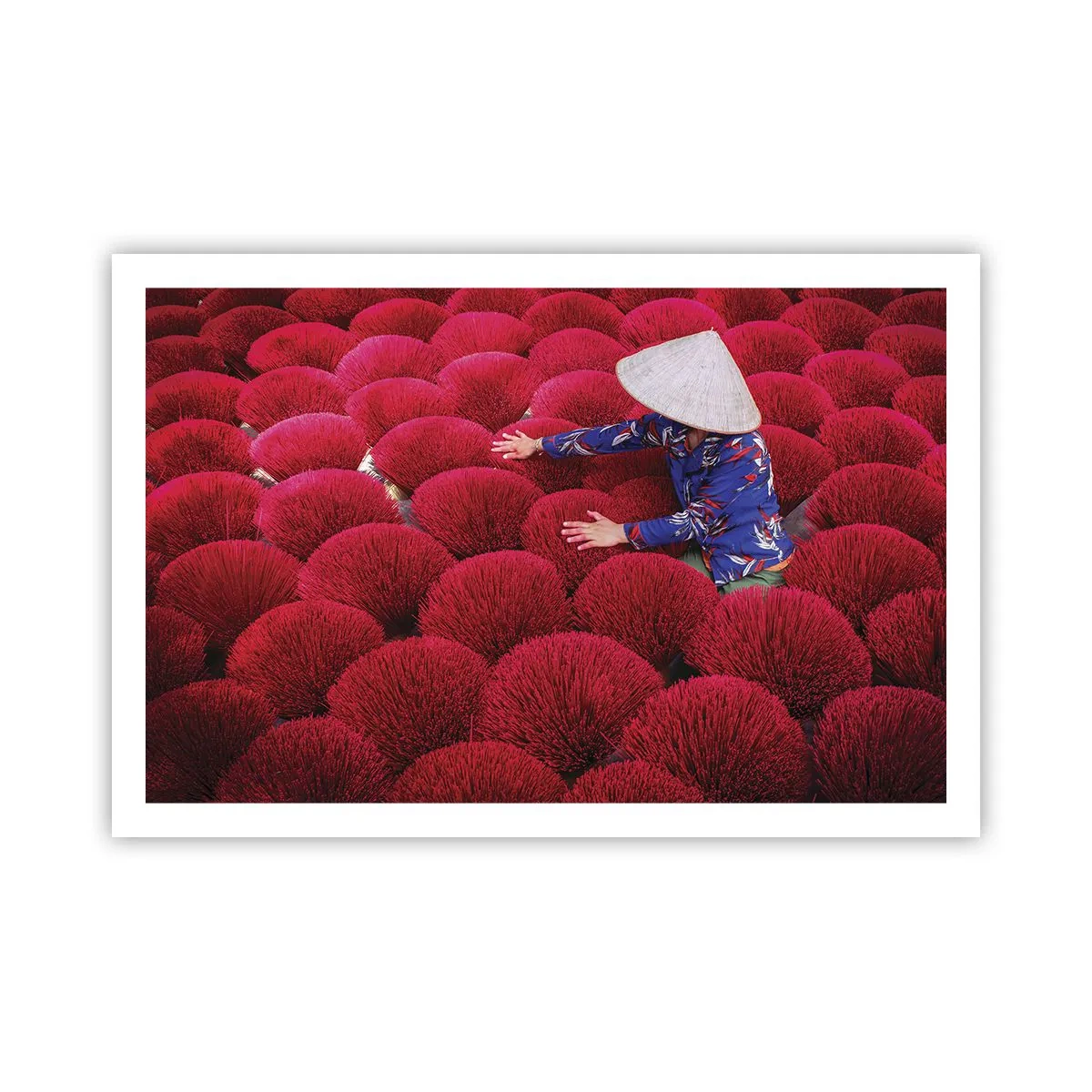 Plagát - Na ryžovom poli - 91x61 cm