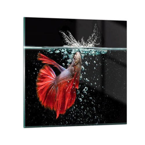 Obraz na skle - Máš tri priania - 60x60 cm