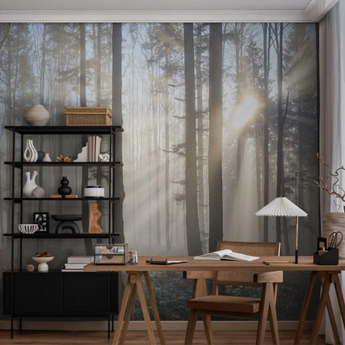 Fototapeta Premium Canvas - Hmla sa tiež zobudila - Krajina, les, Hmla - 200x140 cm