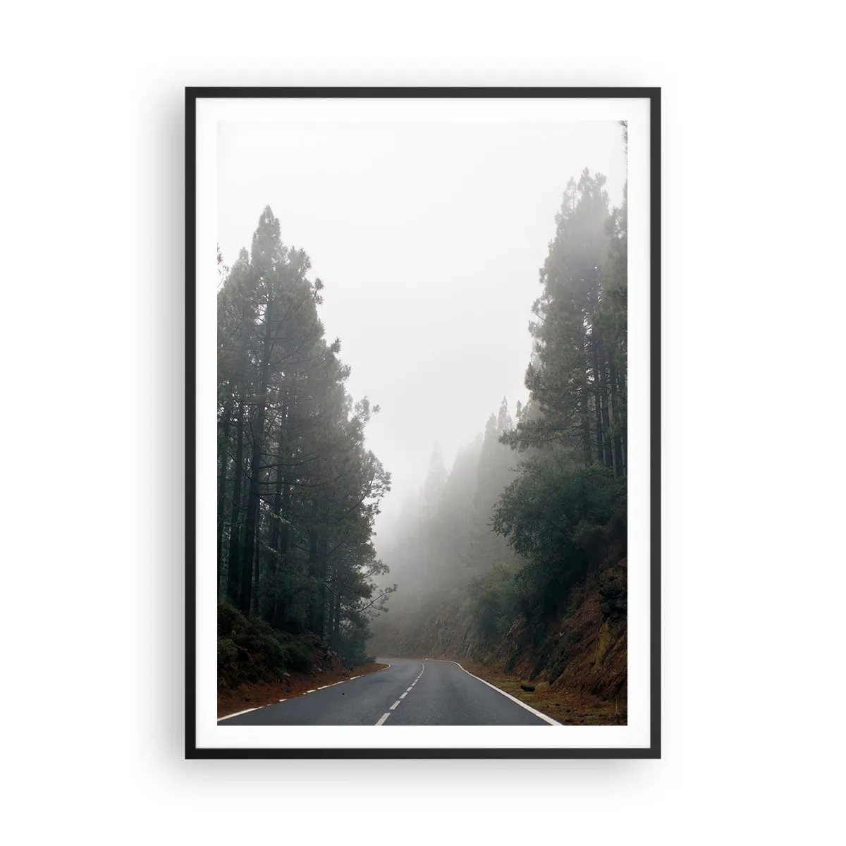 Plagát v čiernom ráme - Príbeh kúzelného lesa - 70x100 cm