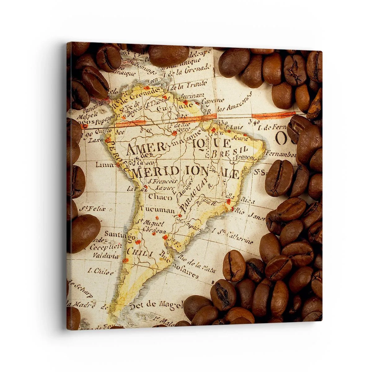 Obraz na plátne - Odkiaľ je najlepšia káva? - 40x40 cm