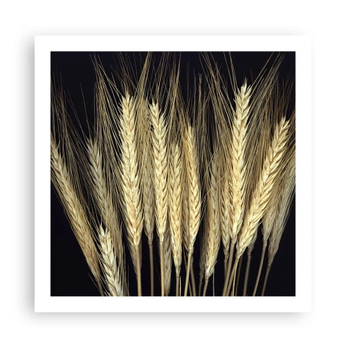 Plagát - Rustikálna mágia - 60x60 cm