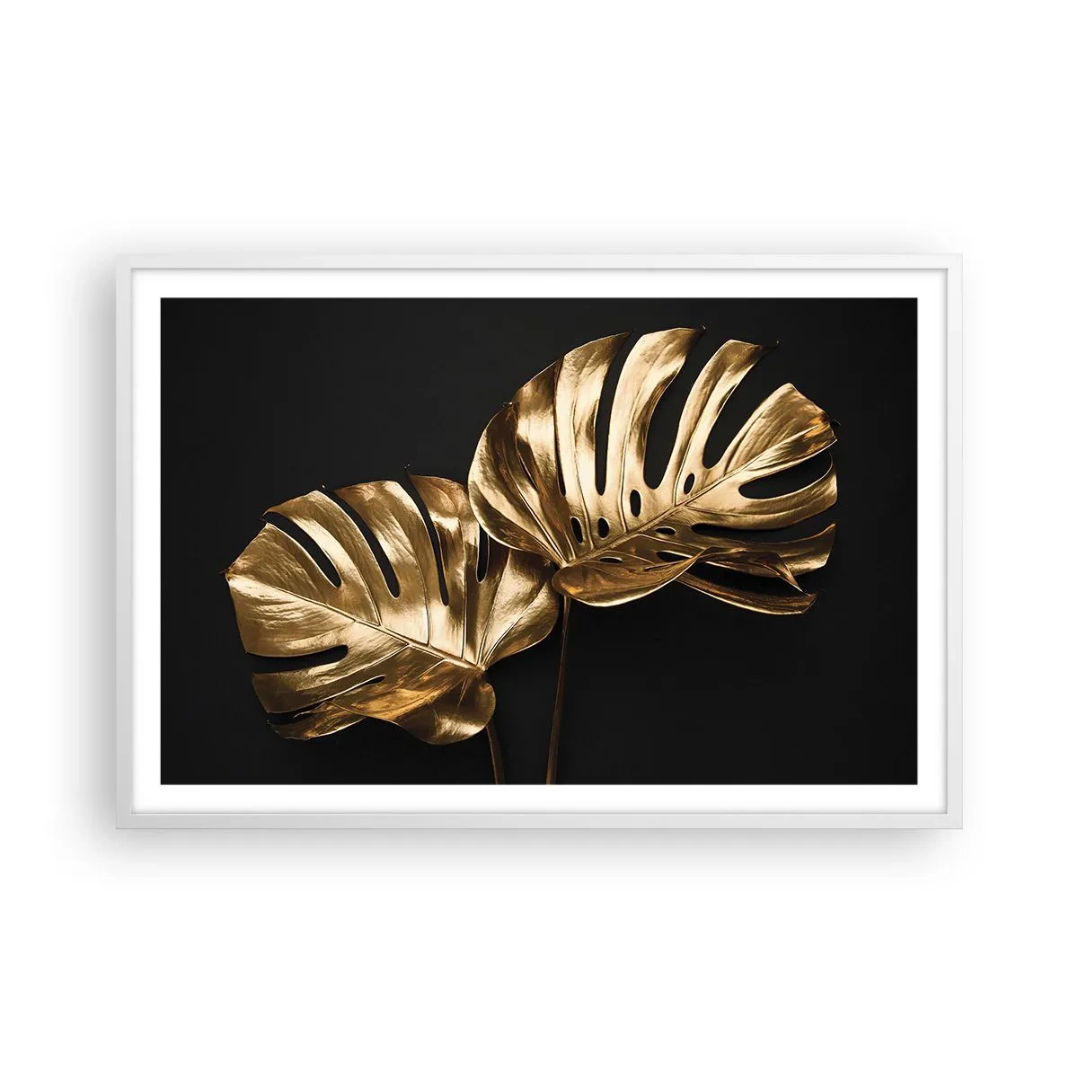 Plagát v bielom ráme - Poklady prírody - 91x61 cm