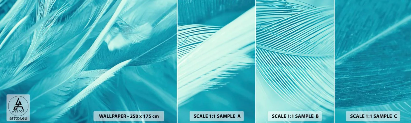 Vzorka Fototapeta Standard Eco - Utopiť sa v páperí - Vtáčie pierko, Vták, Grafika - 100x30 cm