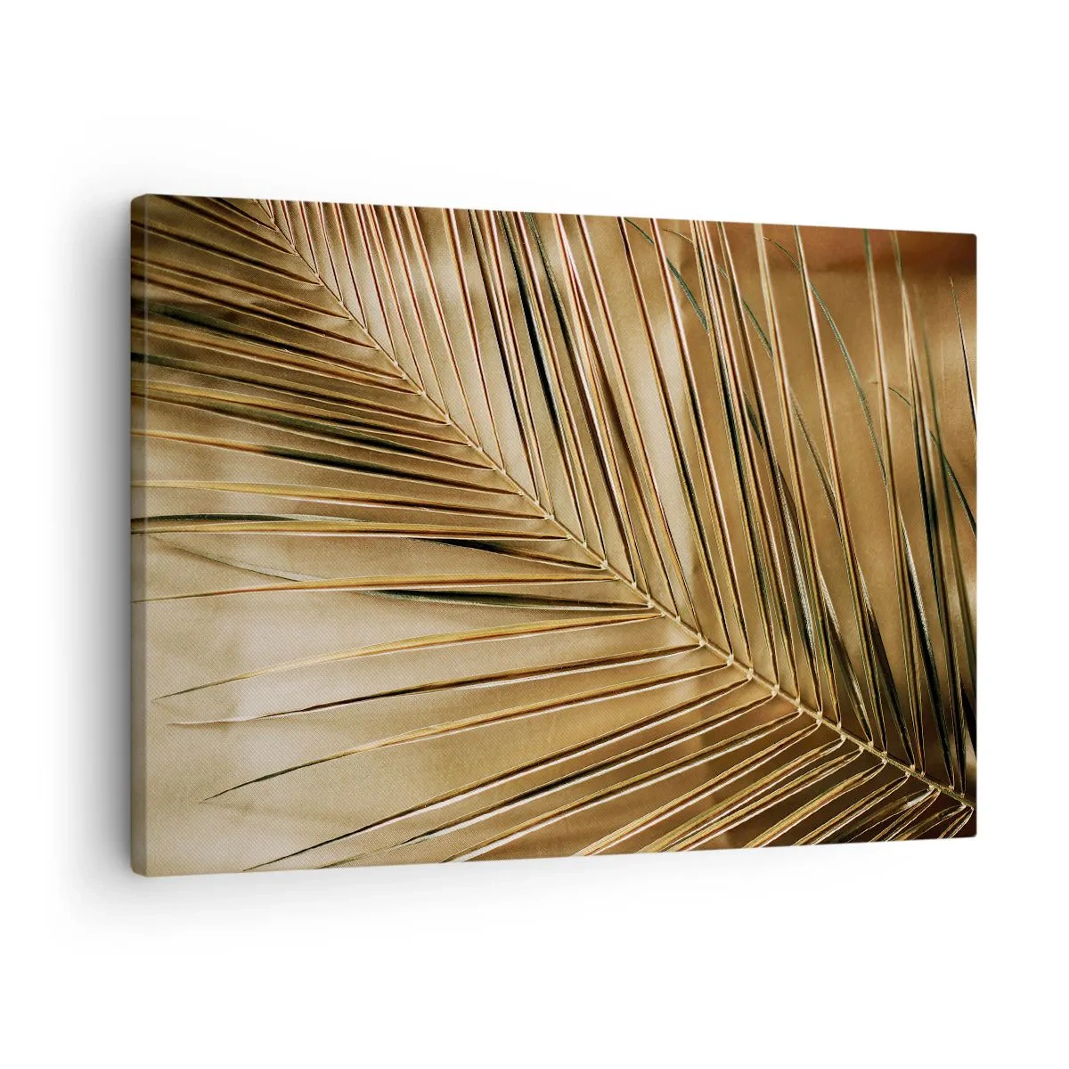 Obraz na plátne - Zlatý palmový list na pevnom pozadí - 70x50cm - Prírodná kolonáda - Moderná nástenná dekorácia do obývacej izby a spálne ARTTOR