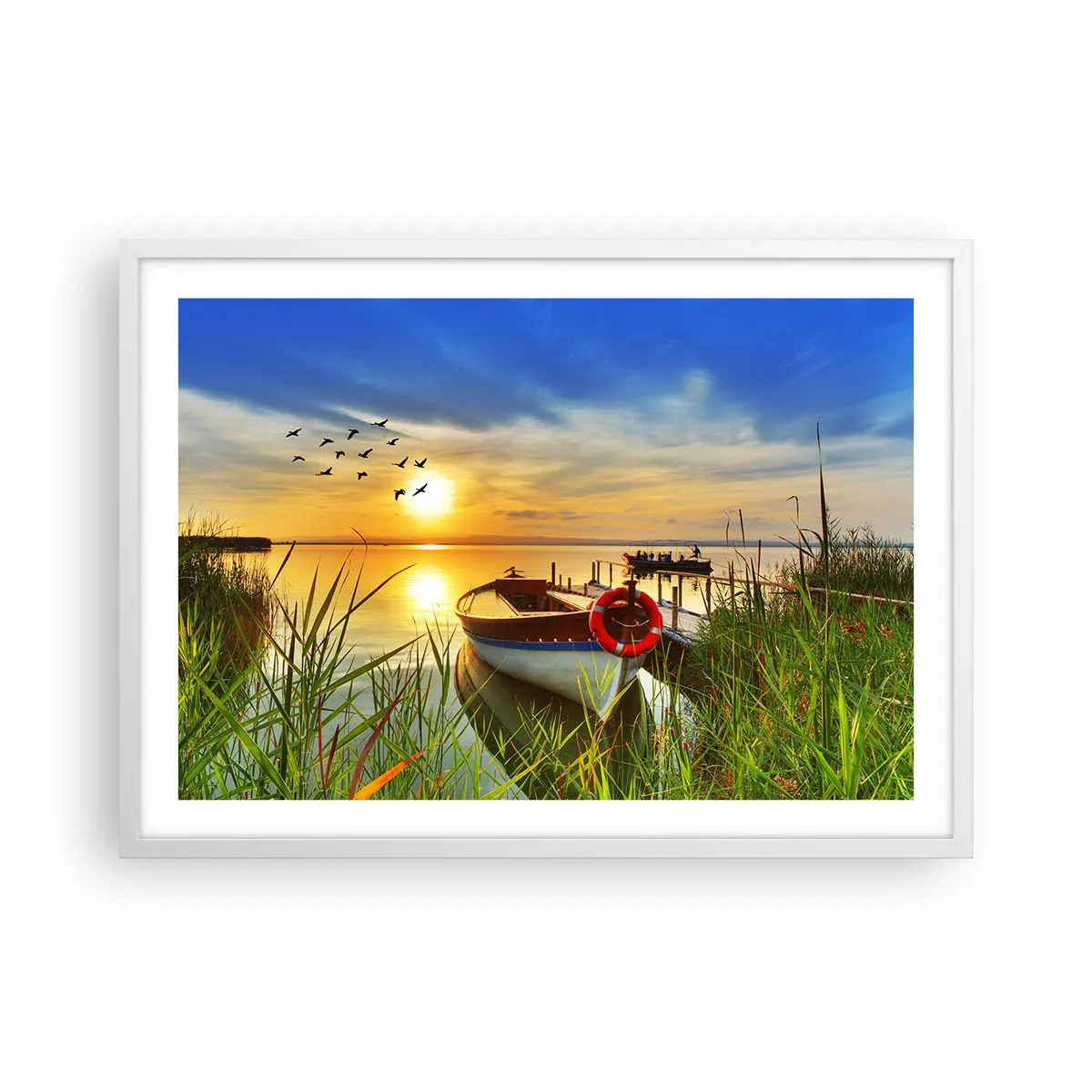 Plagát v bielom ráme - Kormorány už odlietajú - 70x50 cm