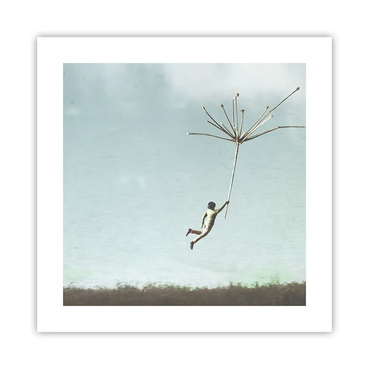 Plagát - Lietajúca púpava - 40x40 cm