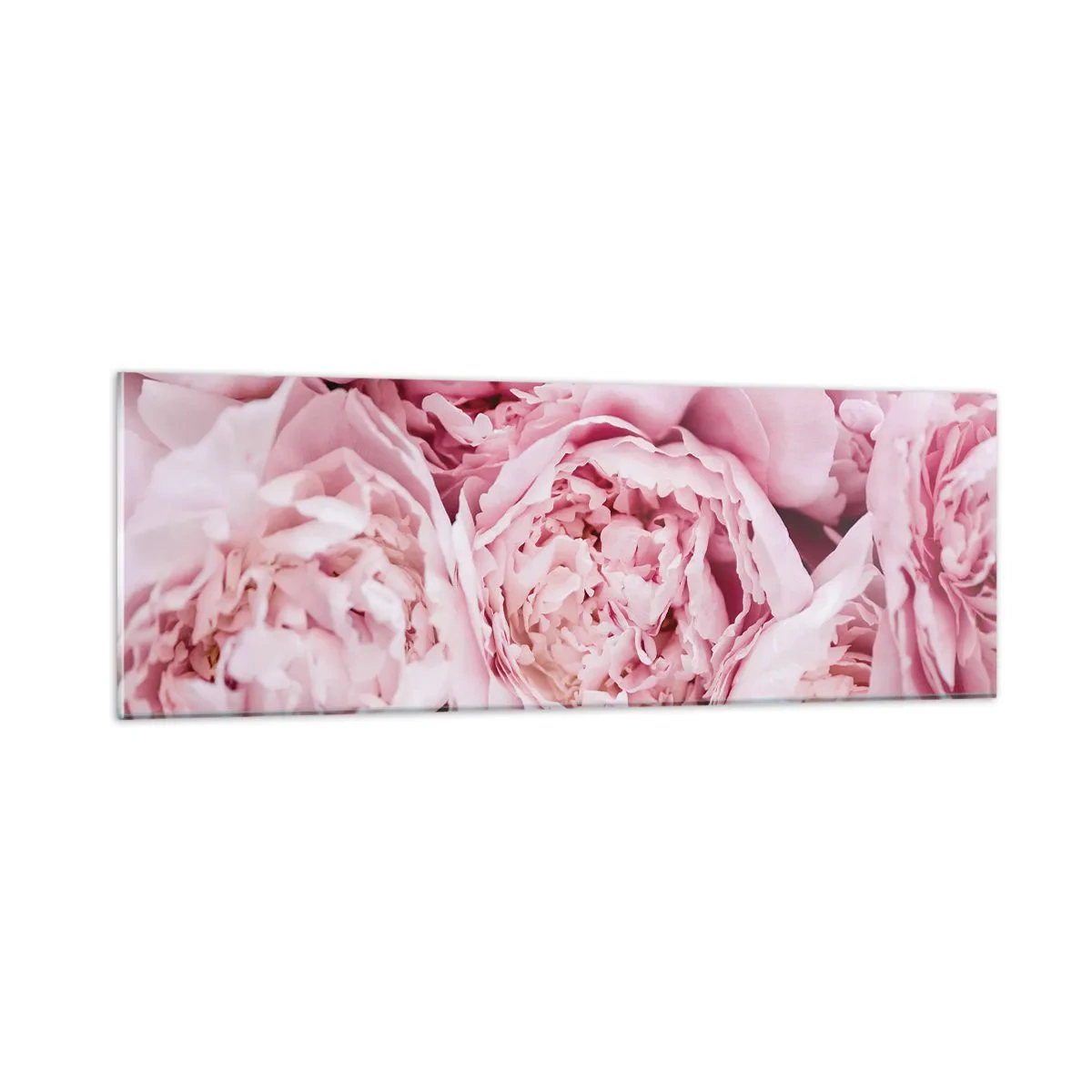 Obraz na skle - Pritúlené a voňavé - 90x30 cm