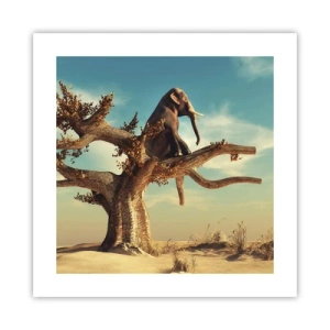 Plagát - Nový uhol pohľadu - 40x40 cm