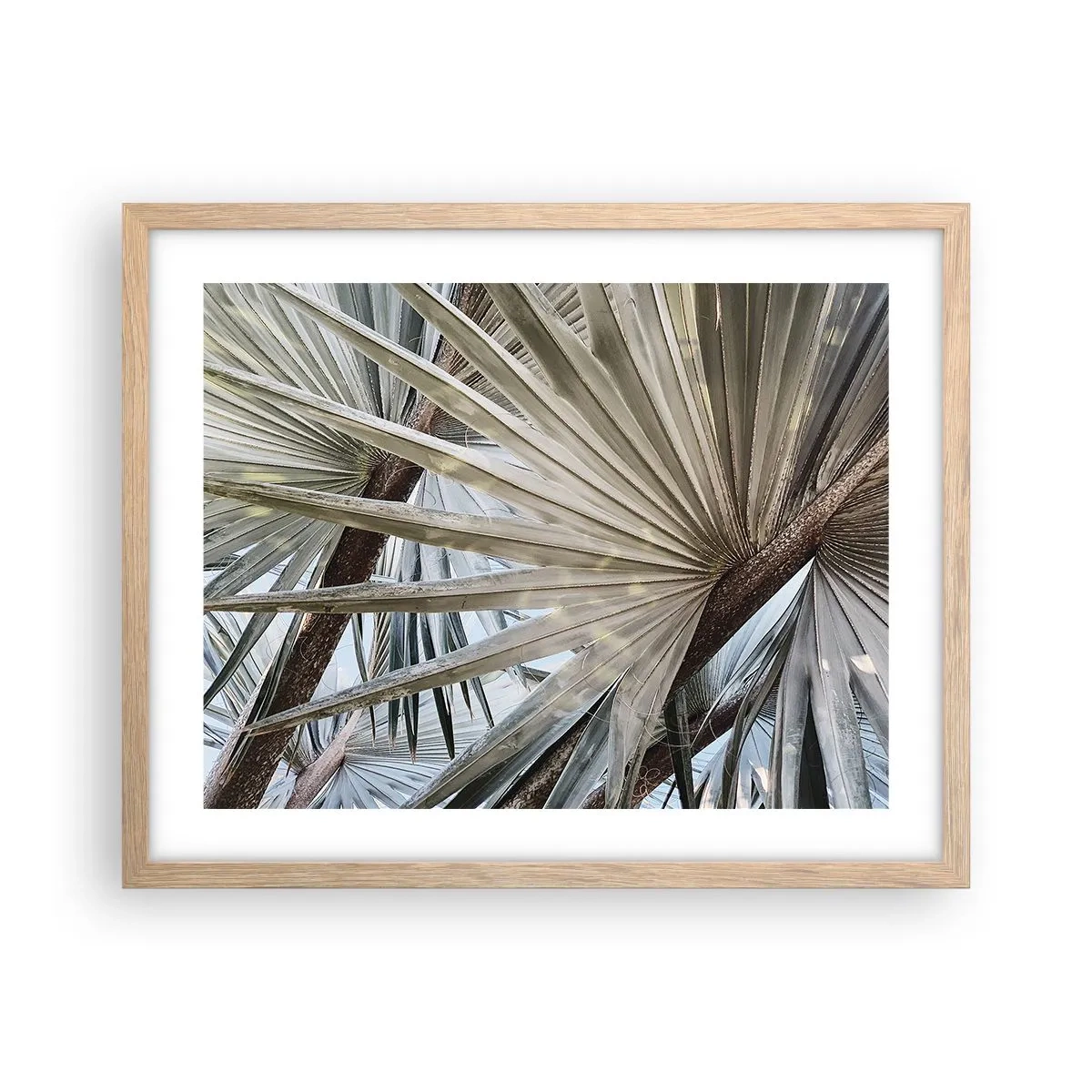 Plagát v ráme zo svetlého duba - Vejáre v trópoch - 50x40 cm