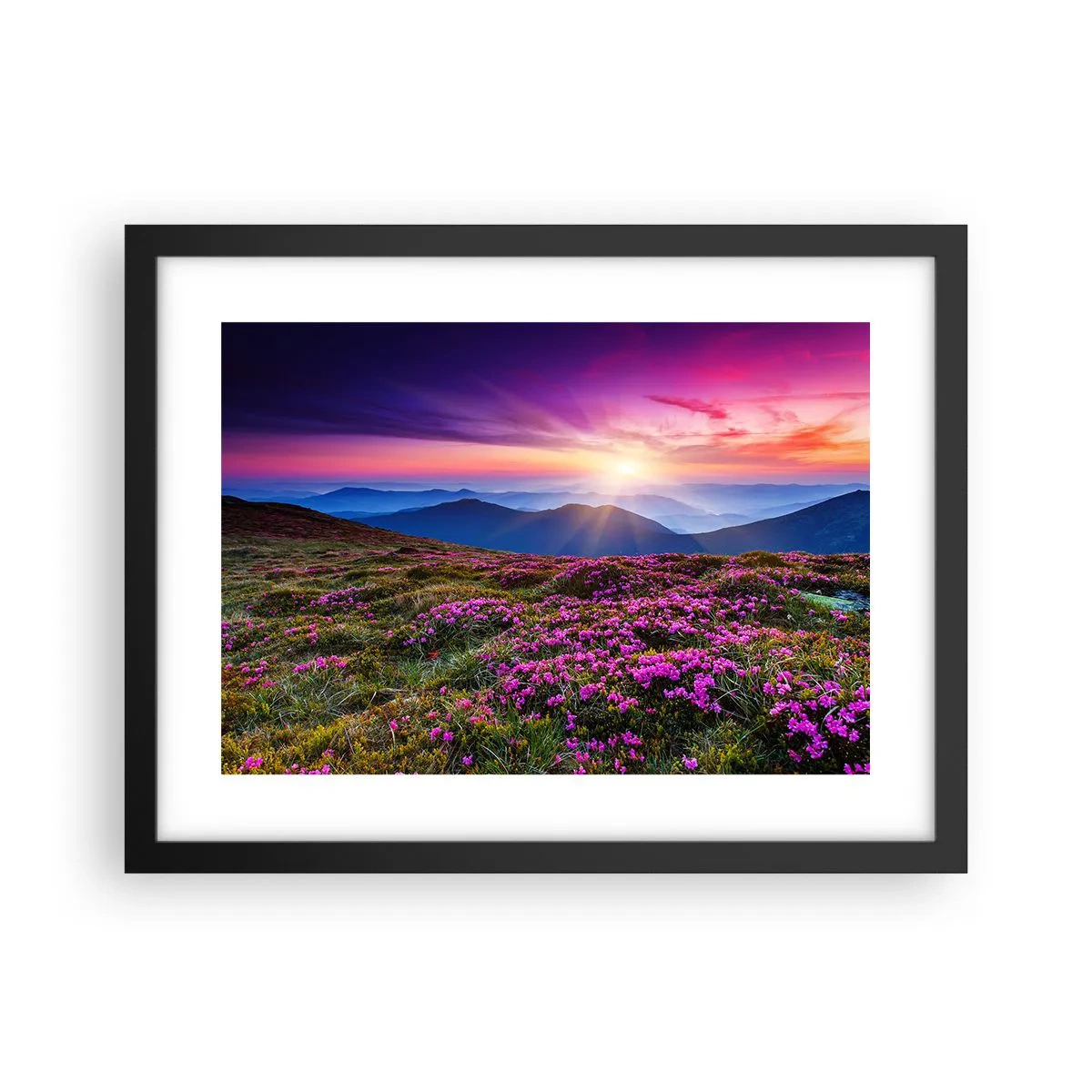 Plagát v čiernom ráme - Zavoňali svieže púčiky byliniek z obilných polí - 40x30 cm