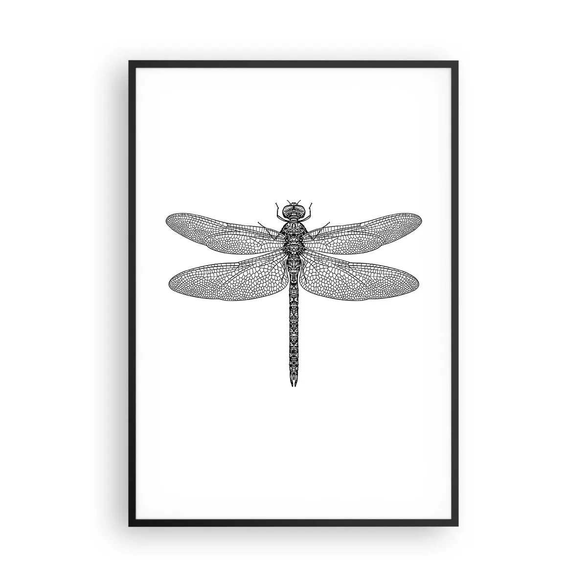 Plagát v čiernom ráme - Presnosť prírody - 70x100 cm