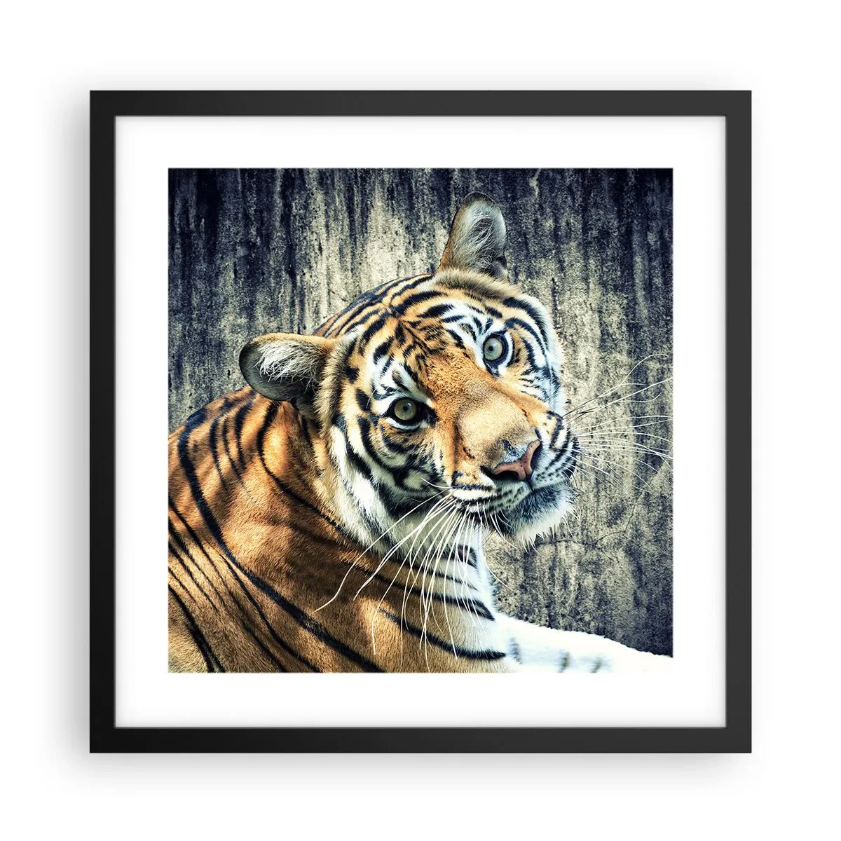 Plagát v čiernom ráme - Portrét v prameňoch svetla - 40x40 cm