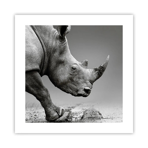 Plagát - Nezastaviteľná sila - 40x40 cm