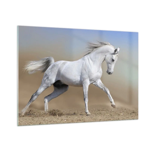 Obraz na skle - Najkrajšia arabská rozprávka - 100x70 cm