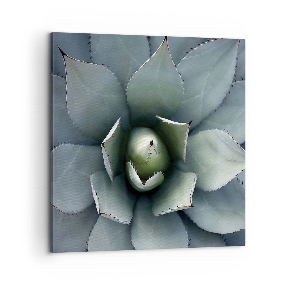 Obraz na plátne - Zvádza a varuje - 60x60 cm