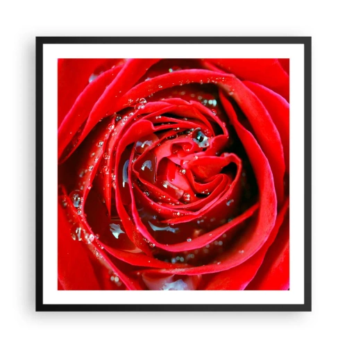 Plagát v čiernom ráme - V kvapkách rosy - 60x60 cm